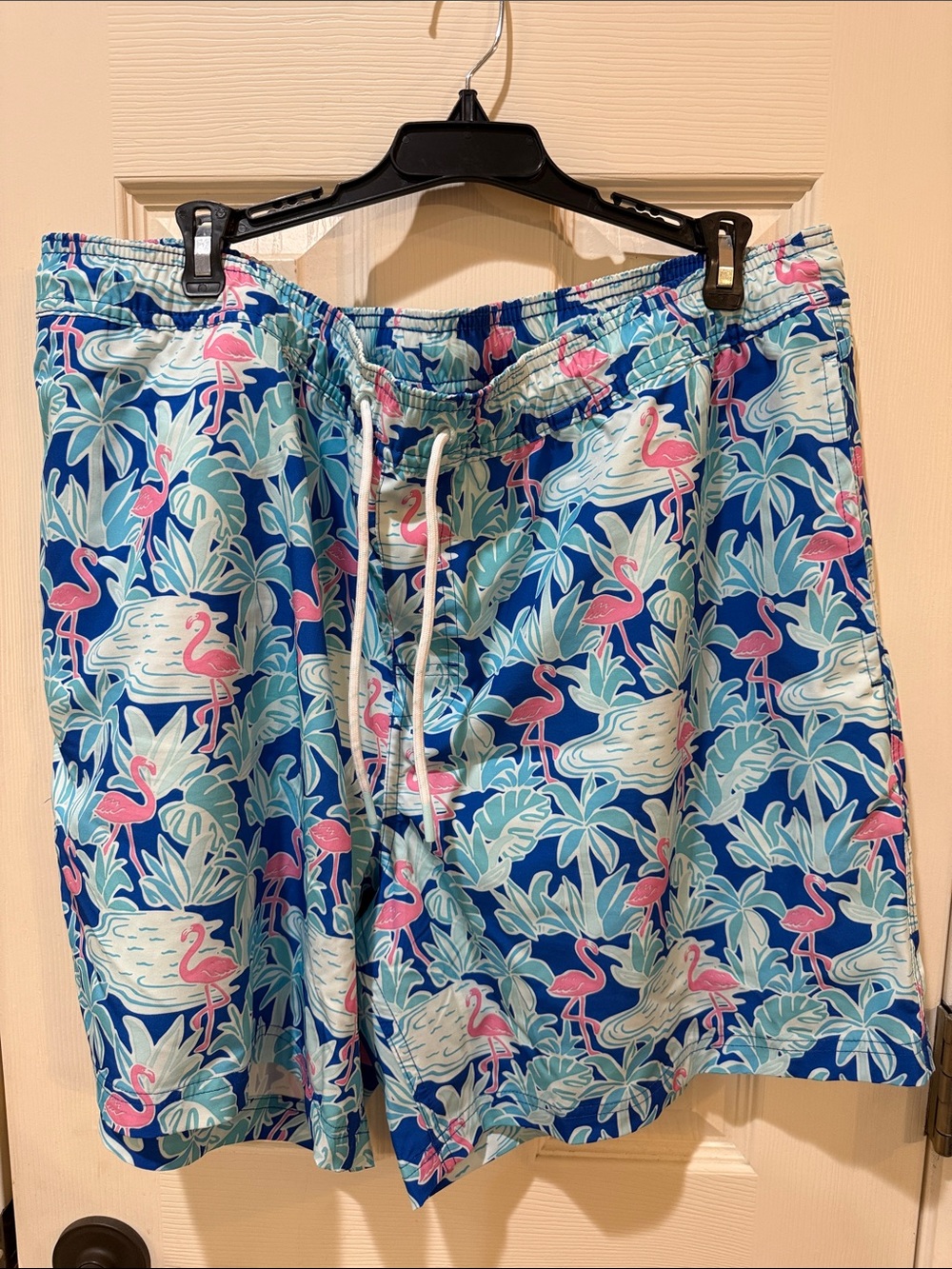Men's Blue Flamingo Print Swim Trunks